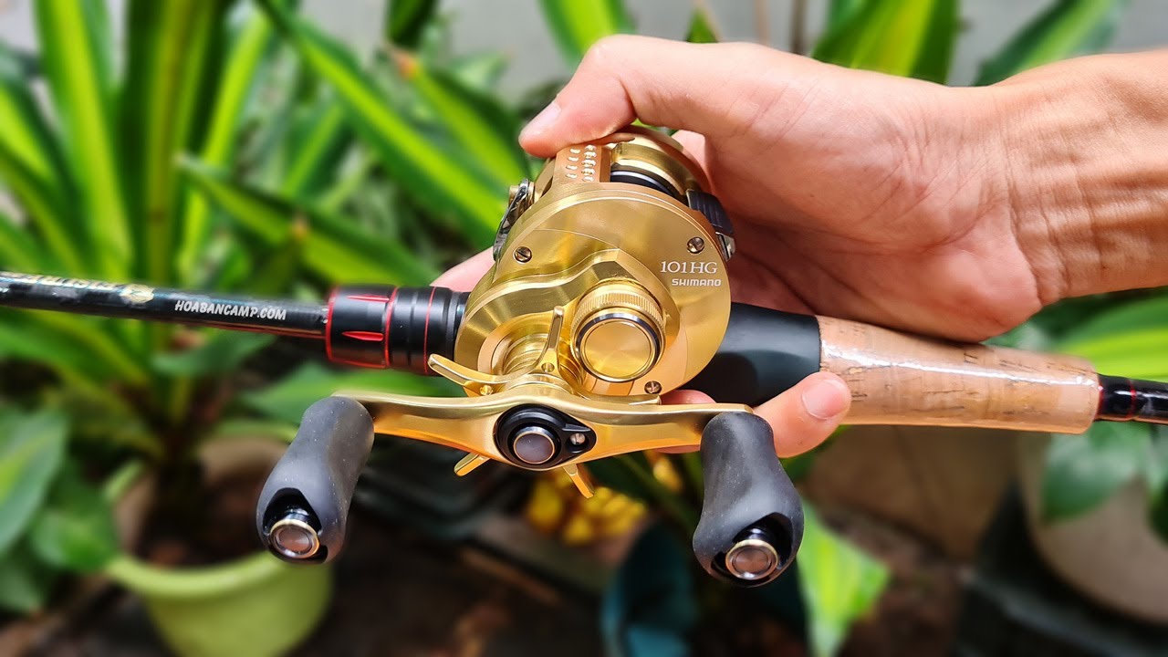 Máy Câu SIÊU BỀN | Shimano Conquest 2021 | Unbox