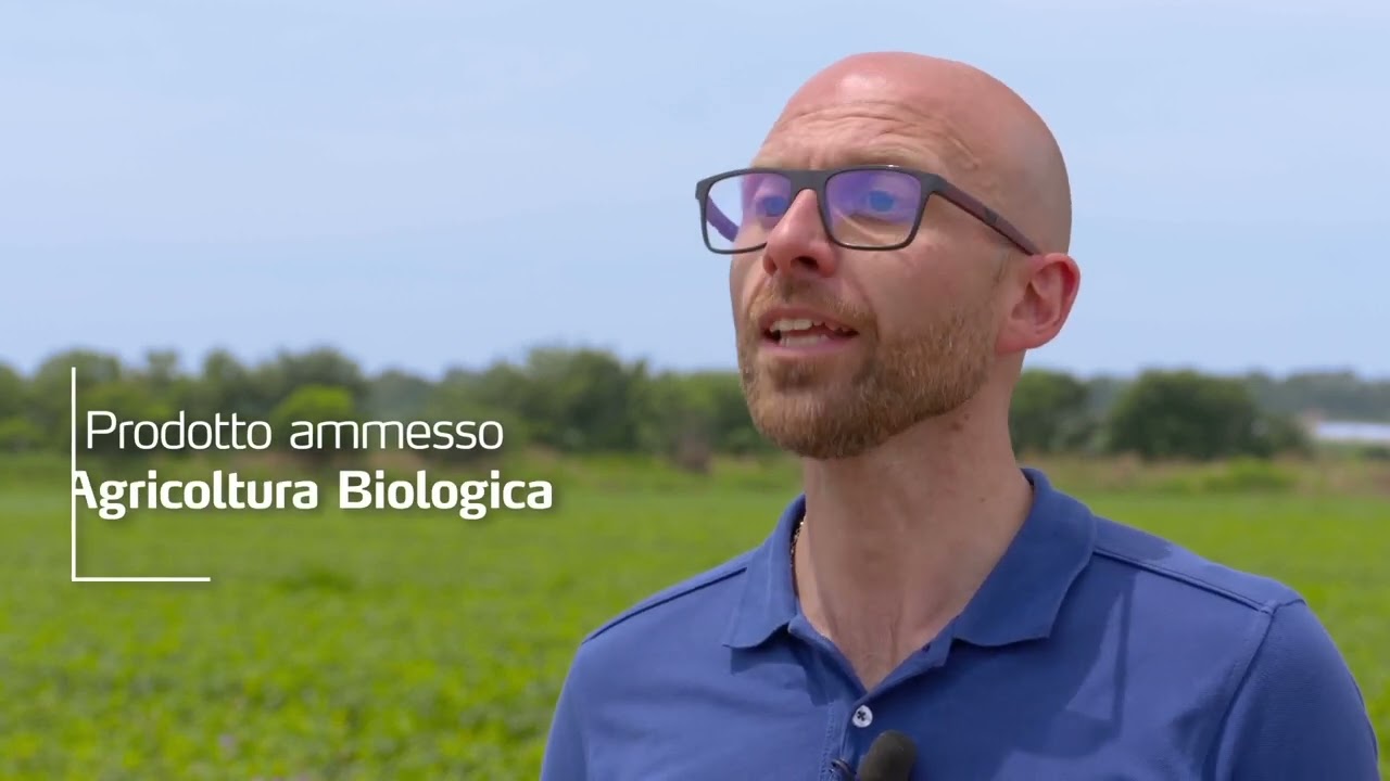 Perch&egrave; il biostimolante YaraVita OPTIVI funziona?