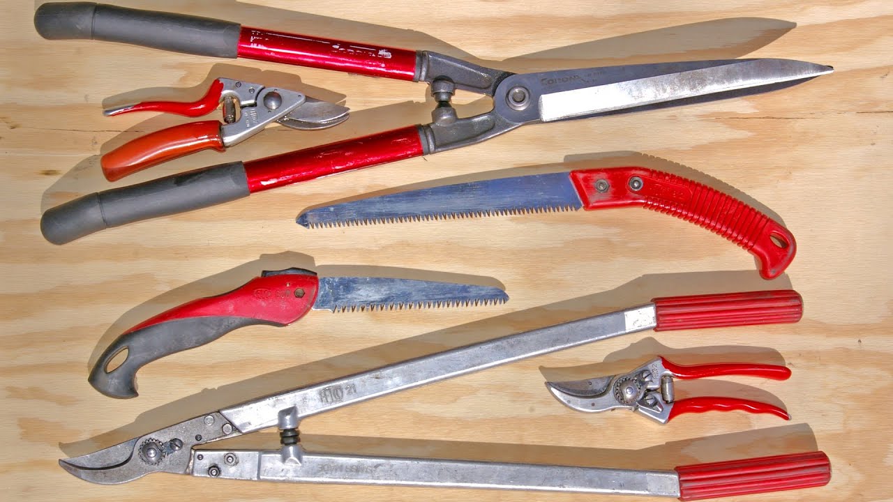 2 1/2 Pruning Tools You Need - Part 2