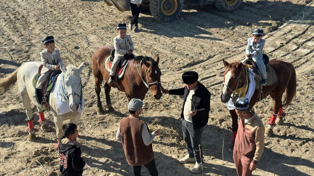 SAMARQAND URGUT BEKROVOT AXMEDOVLAR KOʻPKARISI 26.11.2025-Y