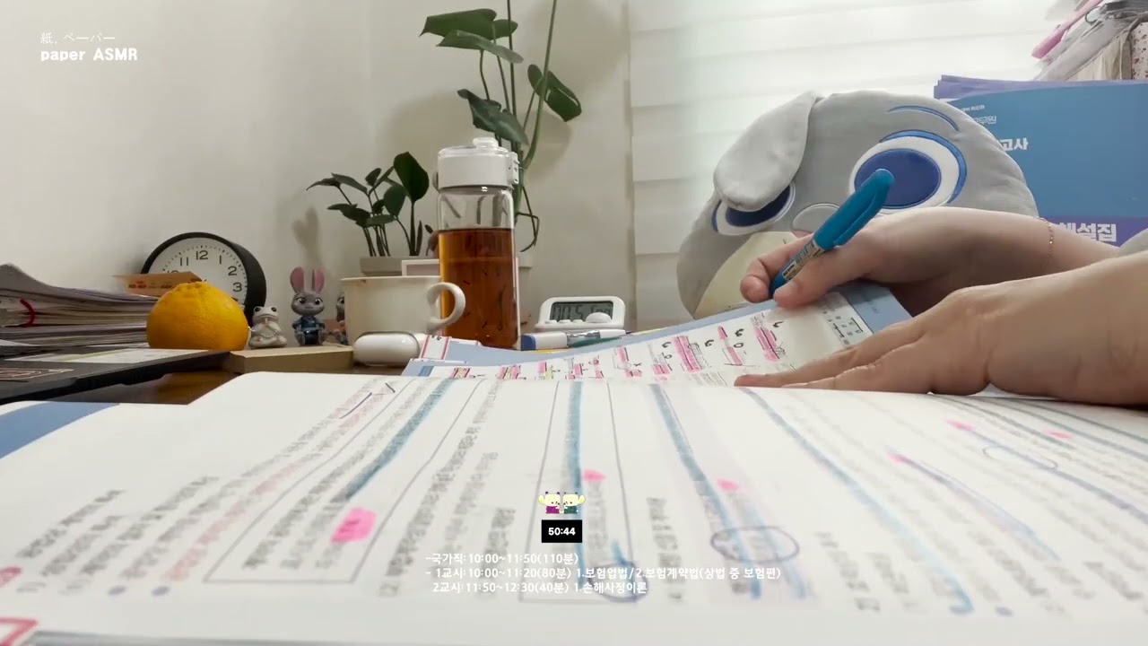 🤫ペーパー[똑똑! 60분만 같이 공부하실 분! 국가직,손해사정사,지방직] [study with me silent] [rainㅣ빗소리] [timer l타이머]