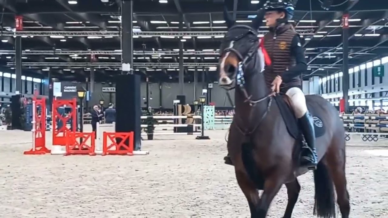 Jumping de Bordeaux 2026 !!