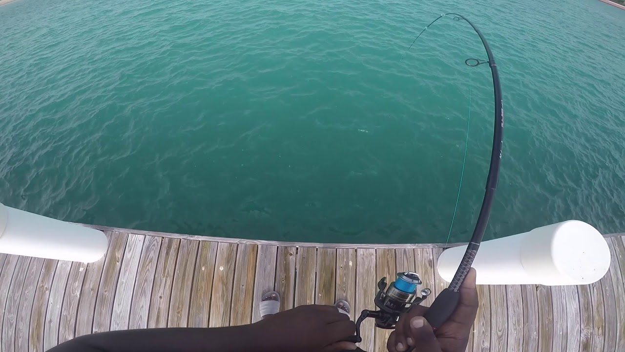 Fishing in Turks and Caicos