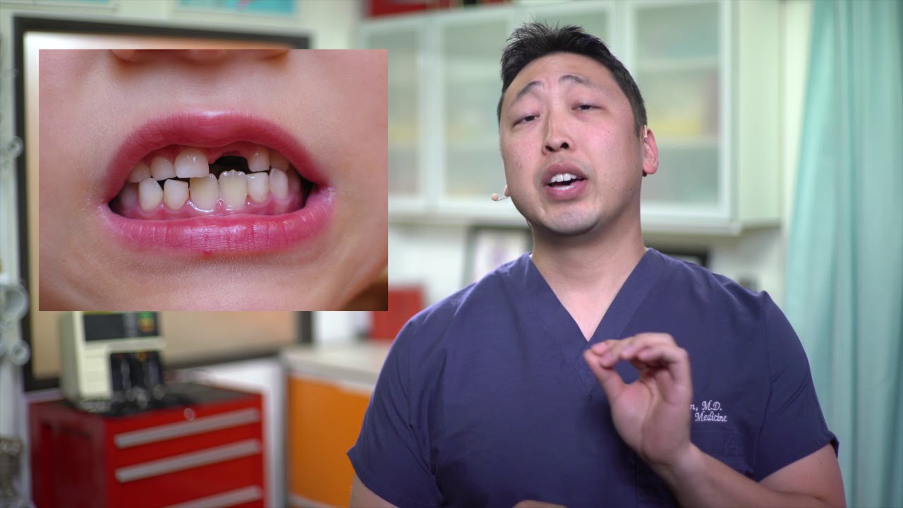 Quick Differences Between Primary and Permanent Teeth