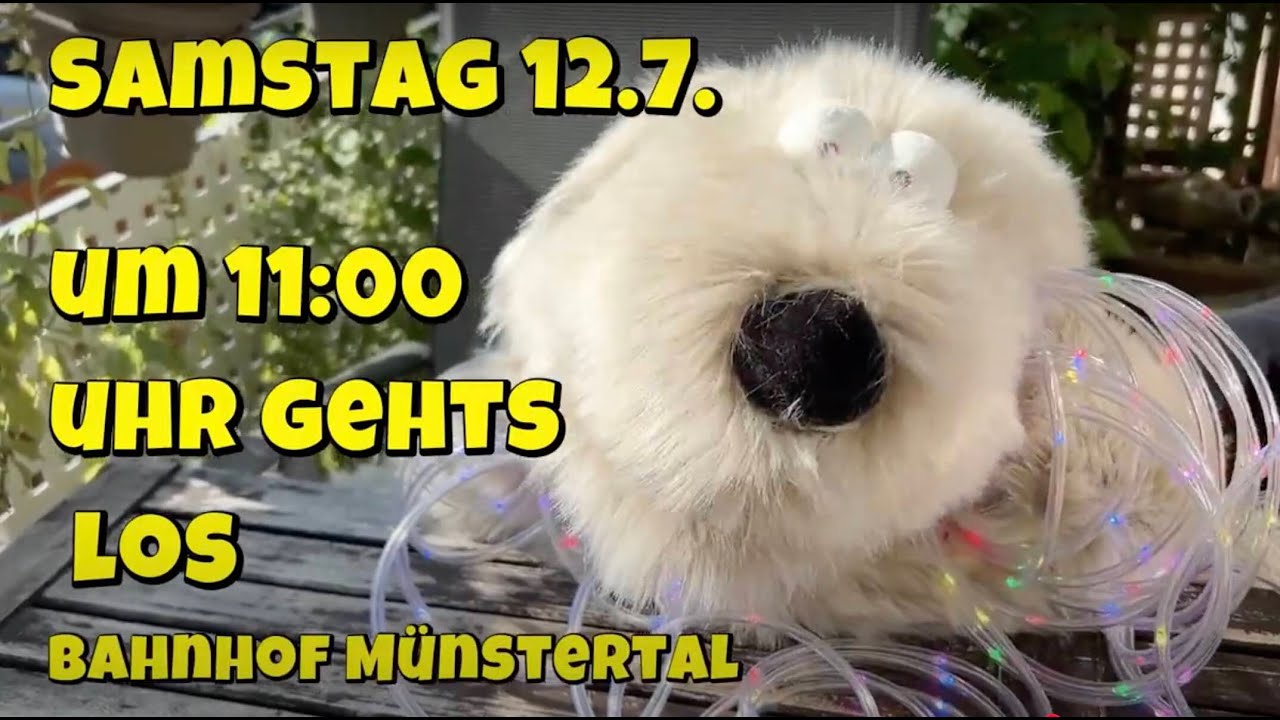 U-Dog lädt ein!