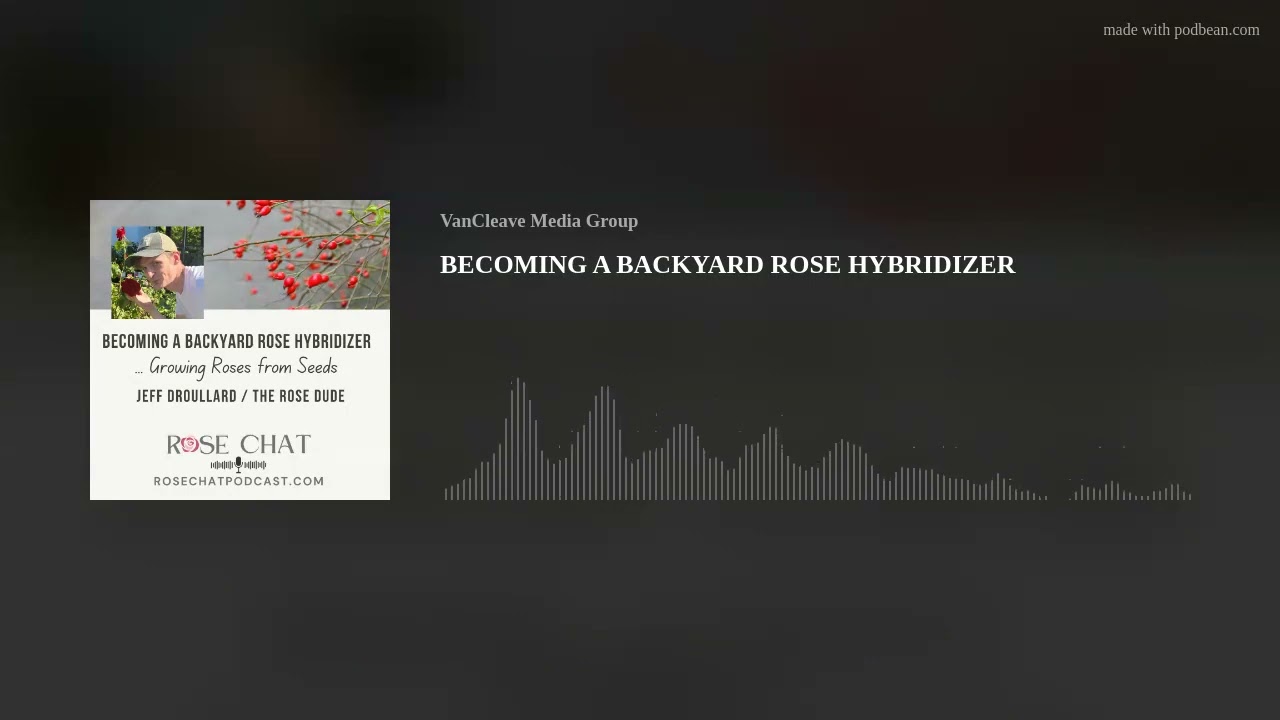 BECOMING A BACKYARD ROSE HYBRIDIZER