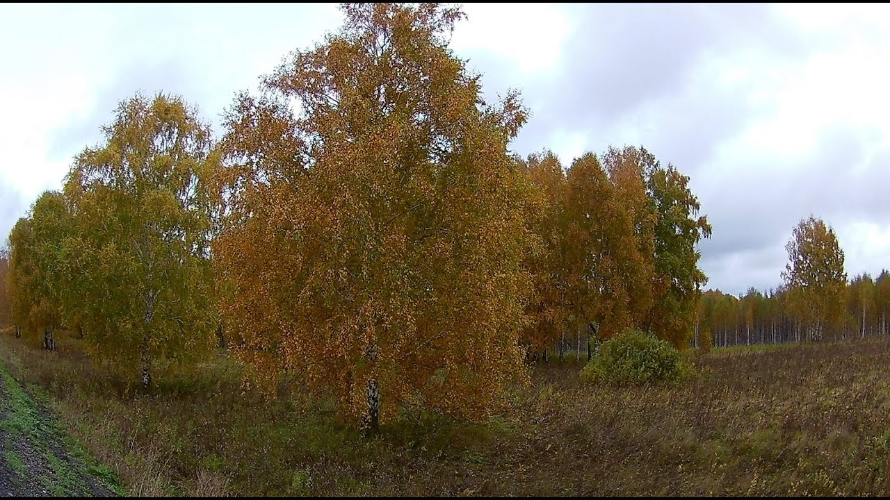Немного из жизни диализного пациента