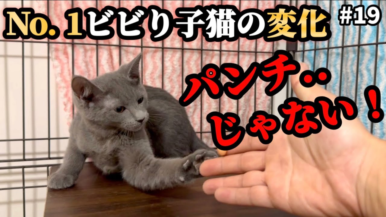 これは…「怖い」が「気になる」に変わった瞬間