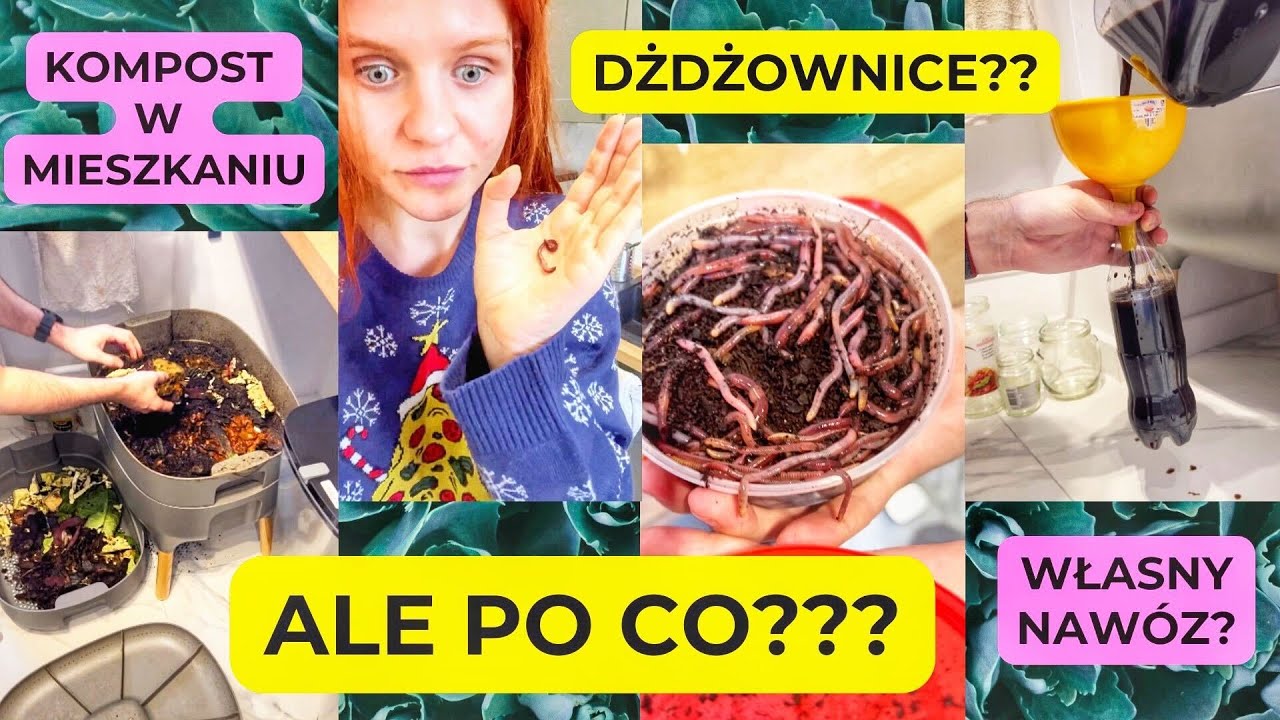 KOMPOSTOWNIK W MIESZKANIU? PO CO? ZA ILE? I CZY MUSI MIEĆ DŻDŻOWNICE 😱
