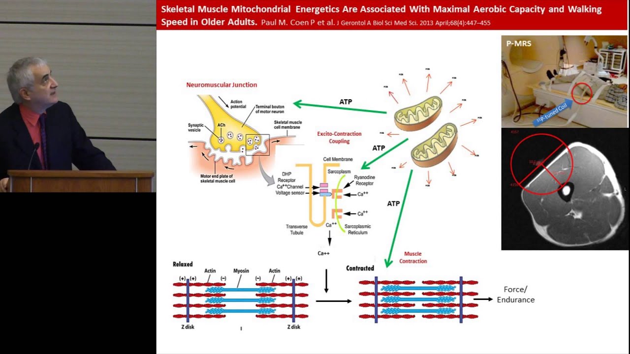 ILSI NA: Defining Healthy Aging - The Science of Aging (Luigi Ferrucci)