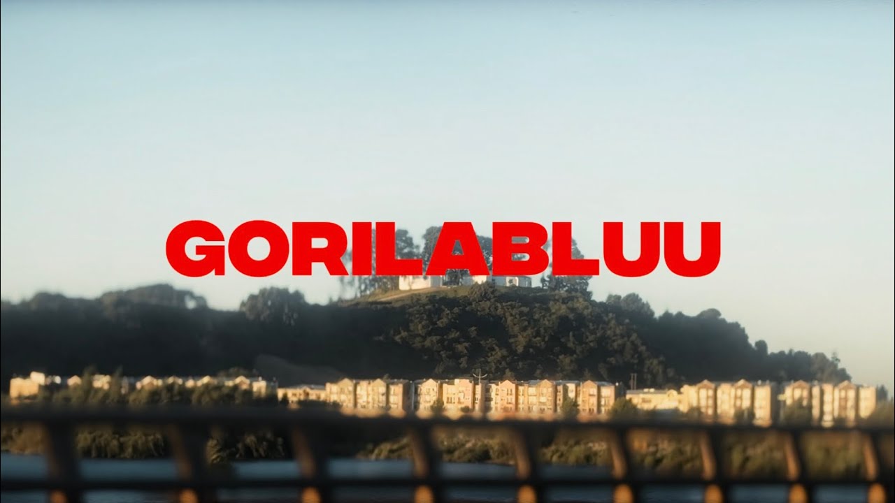 GORILABLUU - at.15