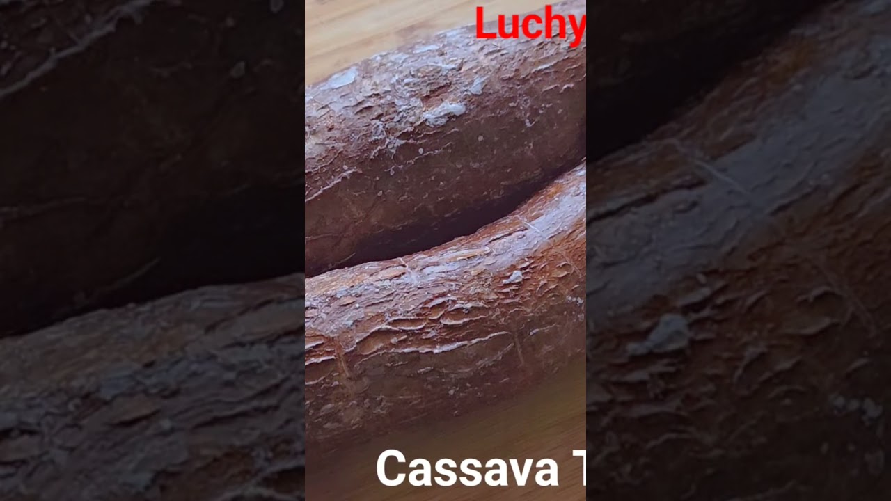 How To Make Cassava Flakes (akpumiri)Abacha. #food #cooking# Abacha#healthylifestyle #familytime #