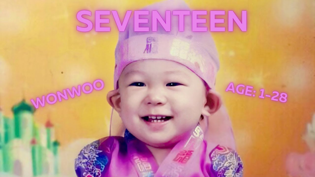 Seventeen's Wonwoo: From 1-28