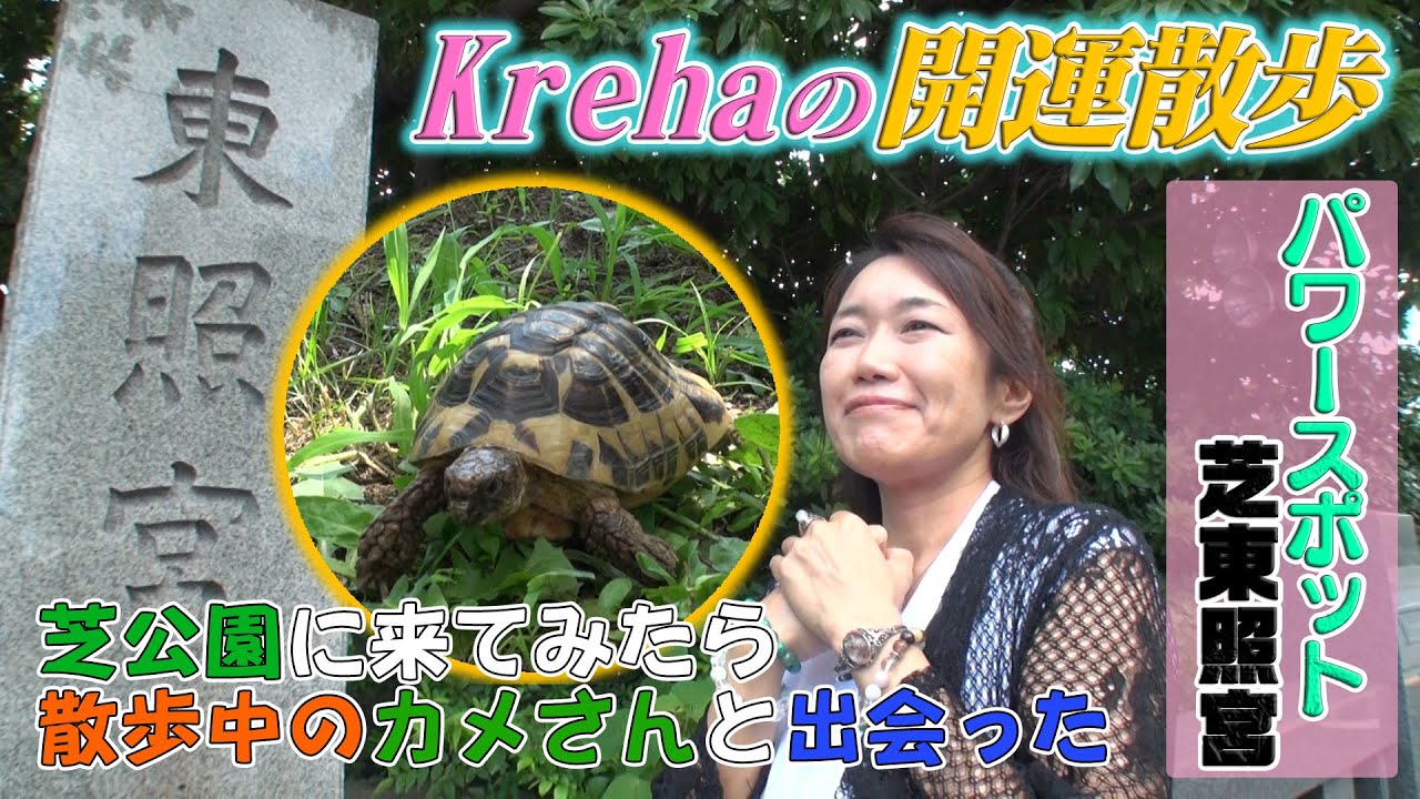 【Krehaの開運散歩】芝公園に来てみたら散歩中のカメさんと出会った