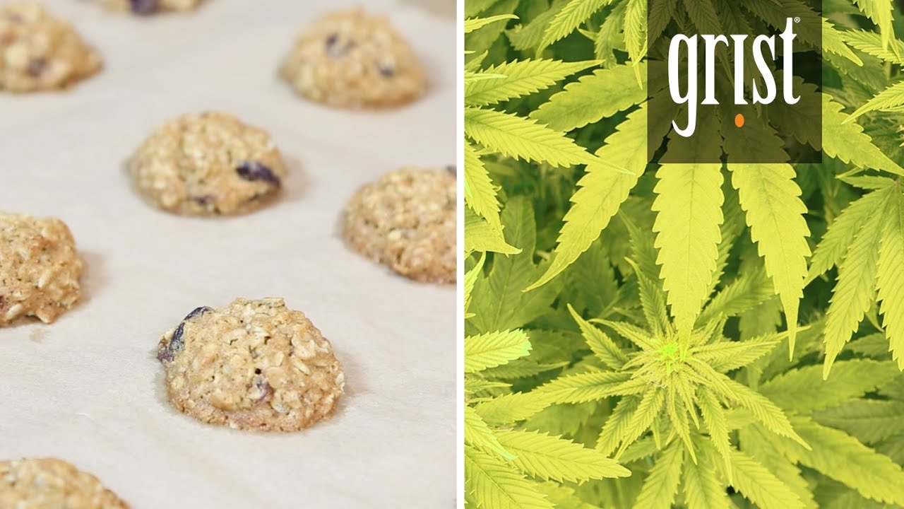 We explore the world of weed edibles
