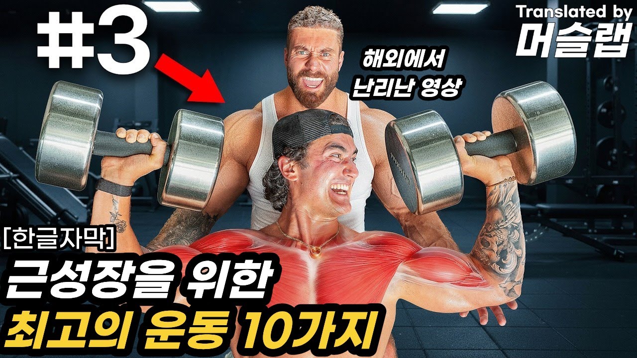 근성장에 가장 효과적인 운동 TOP10 [씨범, 크리스범스테드]