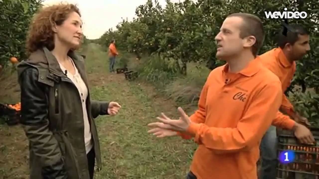 Tarongino - TVE - Aqui La Tierra 2015-03-25