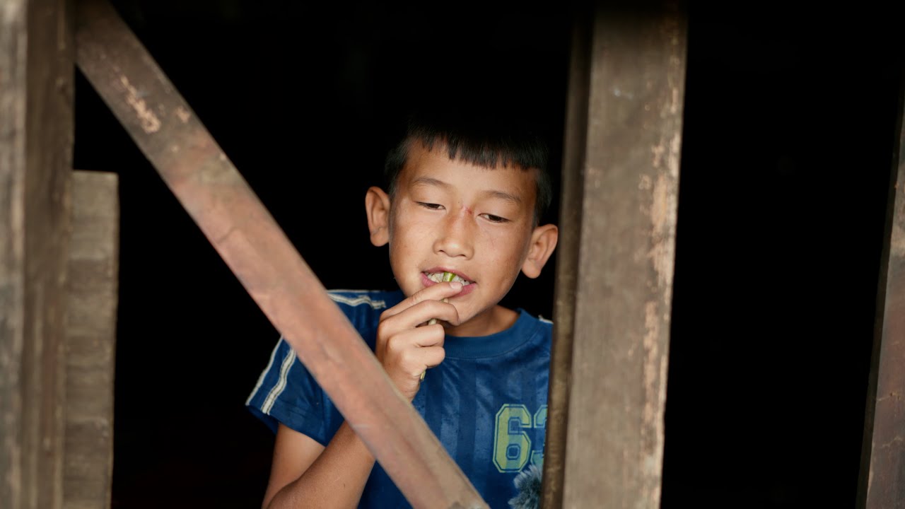 LIFE OF A TRIBAL STUDENT | SHORT FILM