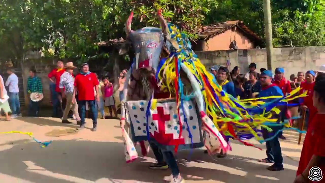 Toro de petate Huixtepec 2023