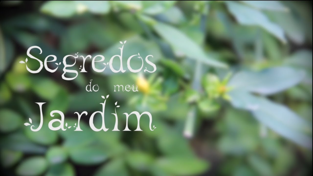 01 - Janeiro | Plantas Primitivas
