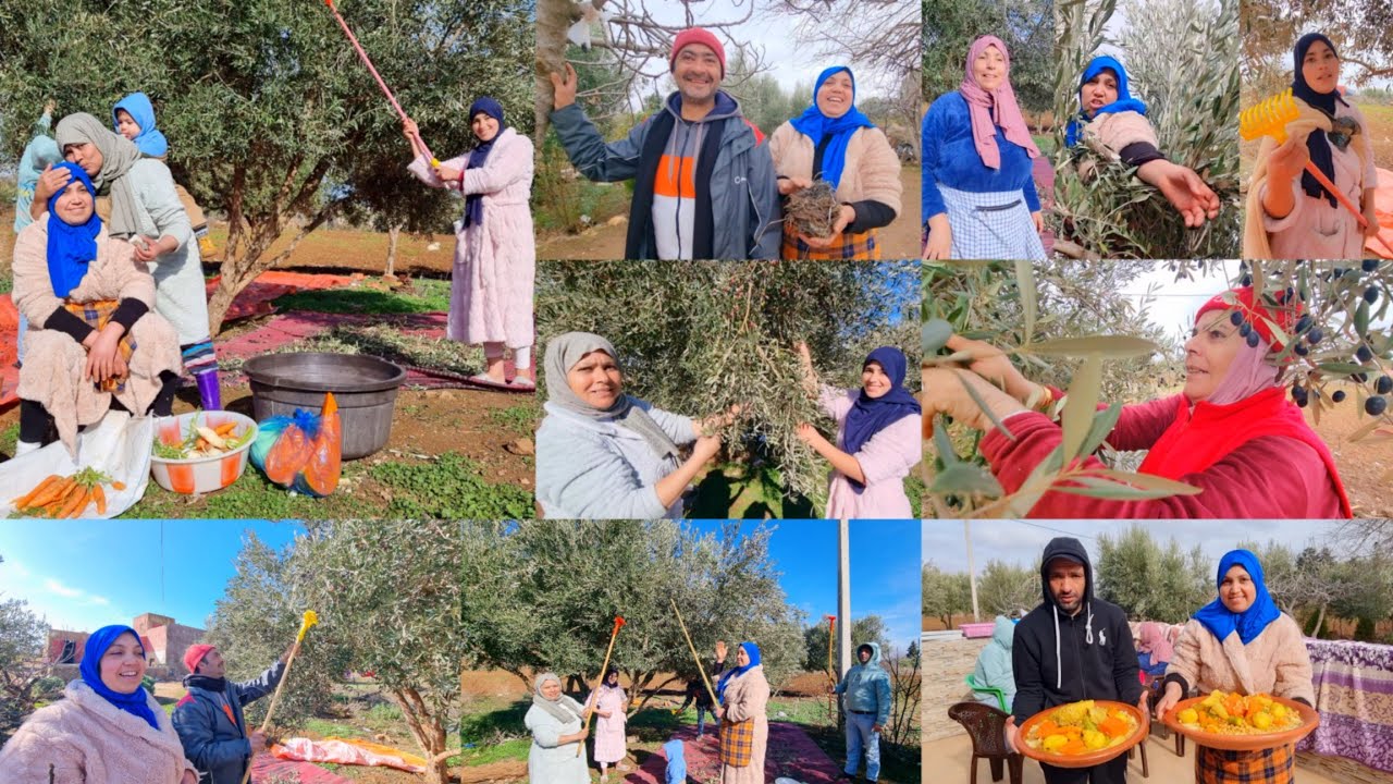 العريسات والويسات والعائلة اليوم تجمعات أو على السقيط الزيتون متعاونات💪 