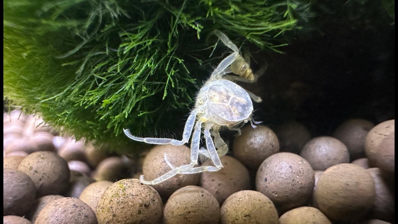 Let’s See What New Fish We can Find!