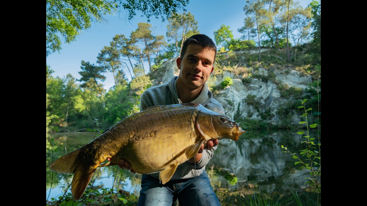 Pêche de la carpe ** Une nuit en carrière sauvage ** Printemps 2020