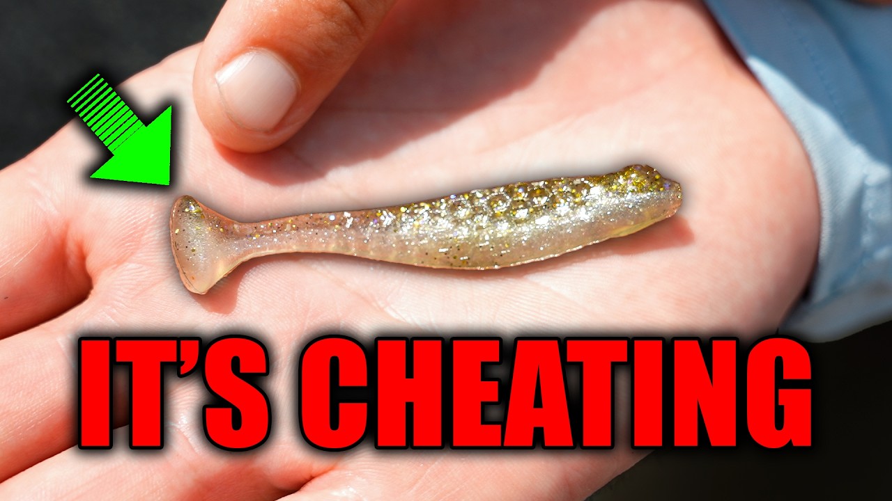 Это навсегда изменит ловлю на Finesse Swimbait