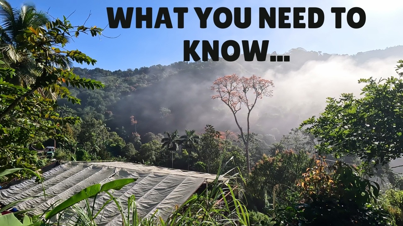 Homesteading in Jamaica is DIFFERENT – What You NEED to Know...