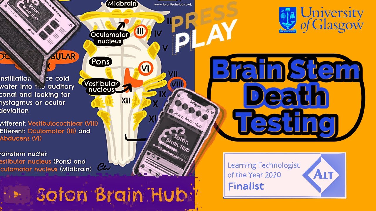 Brain Stem Death Testing