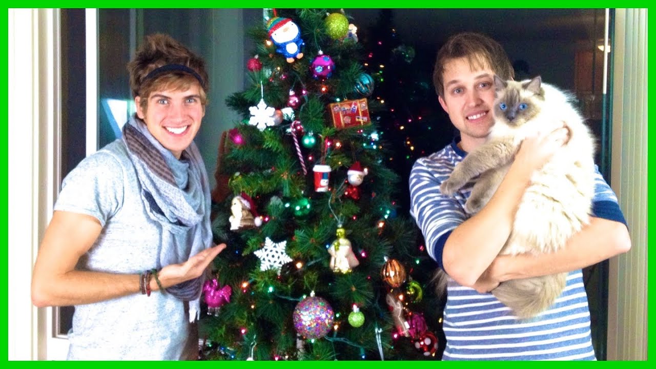 Vlogmas 2012 - THE NOBLEST OF FIRS! - Day 9