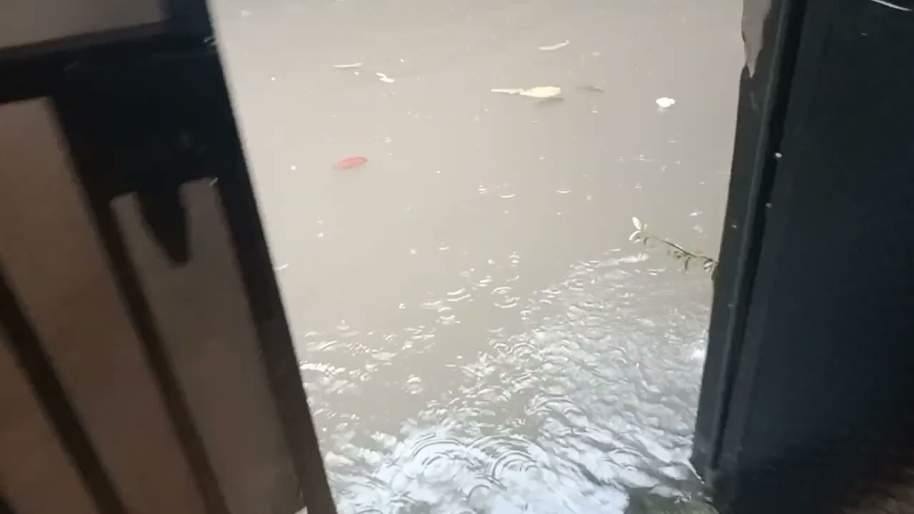 Nekat trobos banjir 20-2-2026