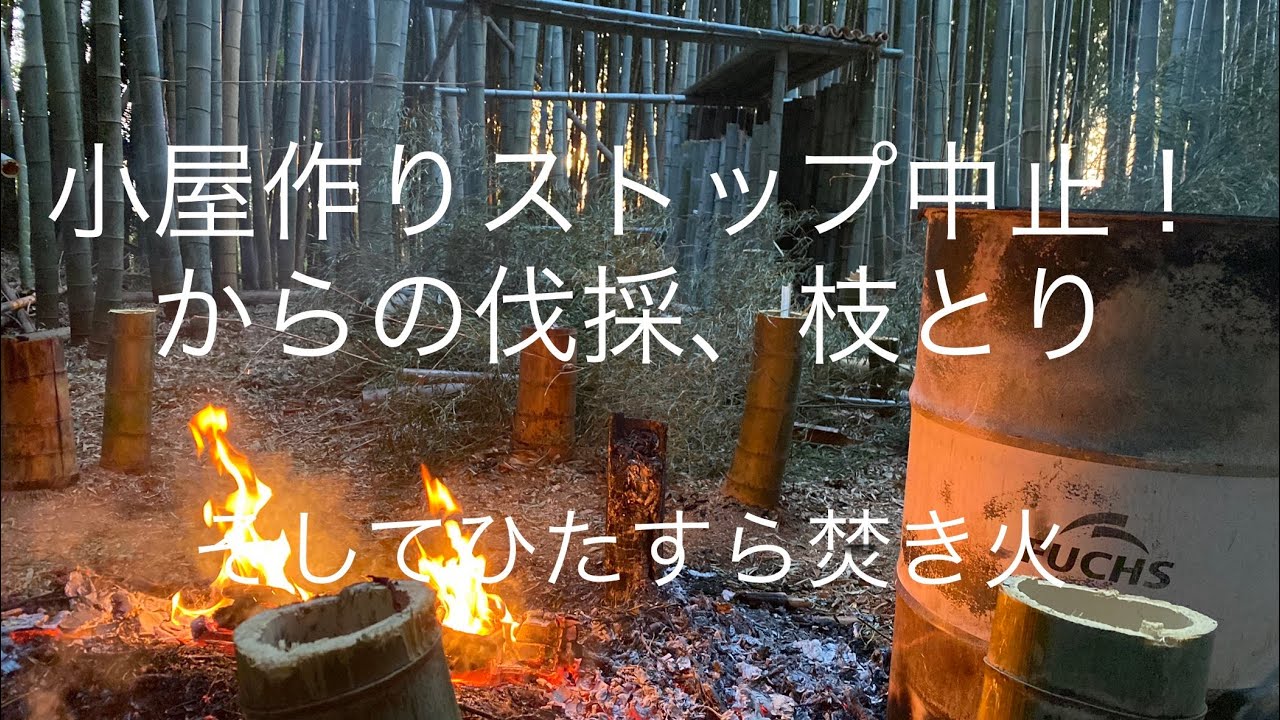 小屋作り中止！からの伐採、枝とり、そしてひたすら焚き火