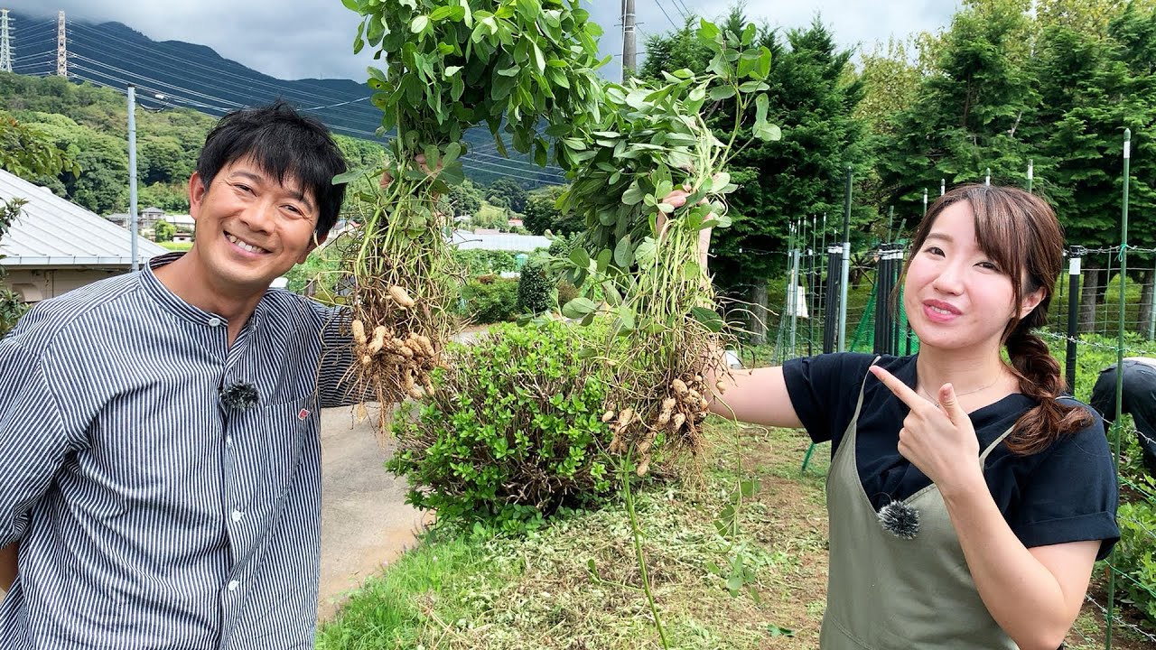 あっぱれ！KANAGAWA大行進 2022年9月17日放送　秦野市