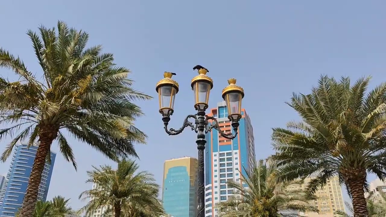 SHARJAH AL NAKHEEL OASIS 14-6-2022