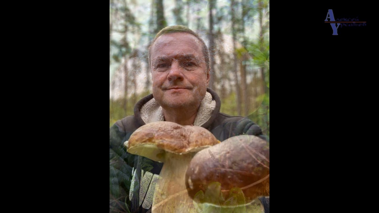 Грибной сезон. Сентябрь 2024