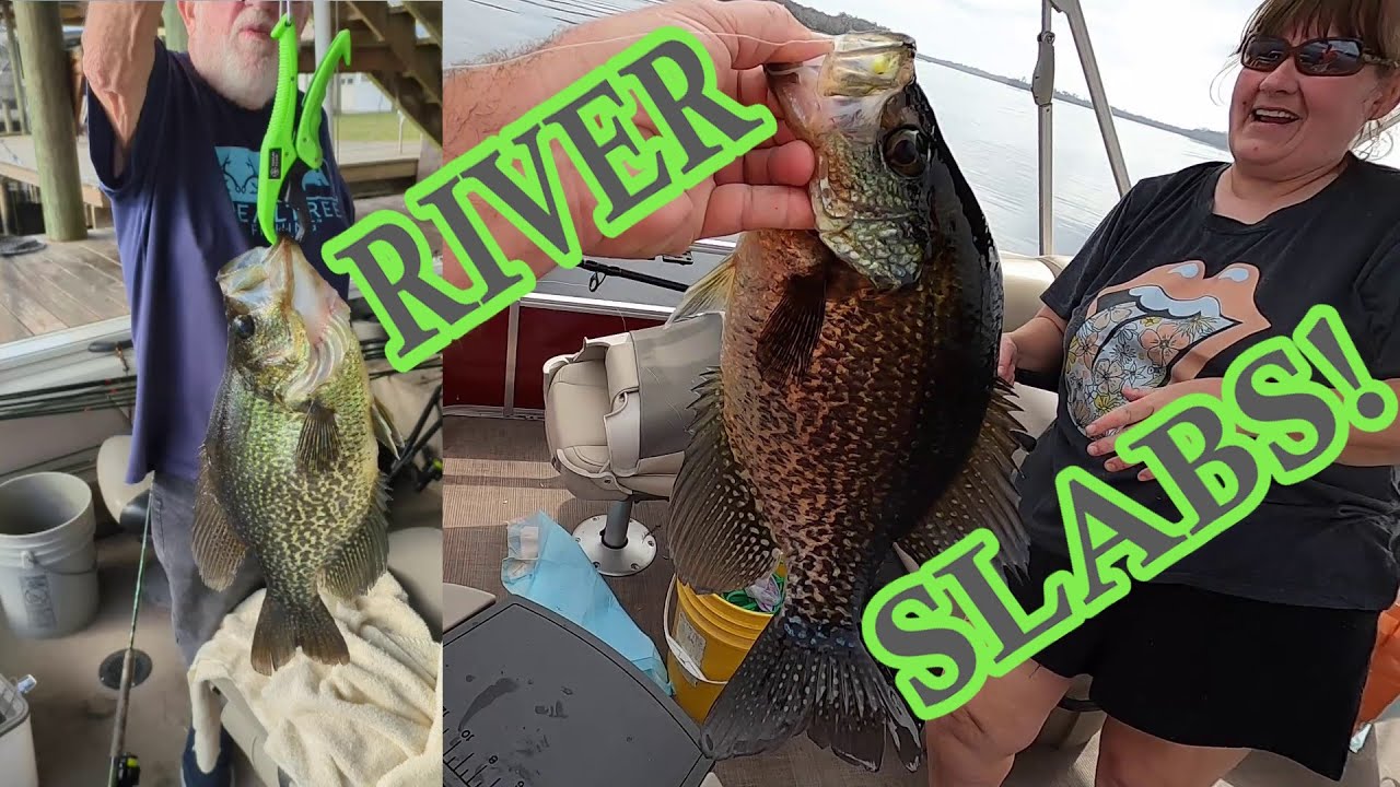 St Johns River SLABS!