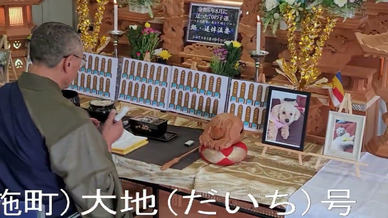 アプリシエイション令和６年８月に送った子達の月例・総追悼法要を９月８日９時執行致しました。