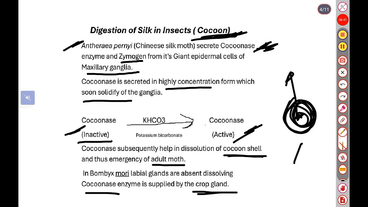 #Digestion of Special food stuffs in Insect #pollen,  wool, leather etc# Insects physiology 🐝🦟🪰🦋🦋🦋🐞🐞