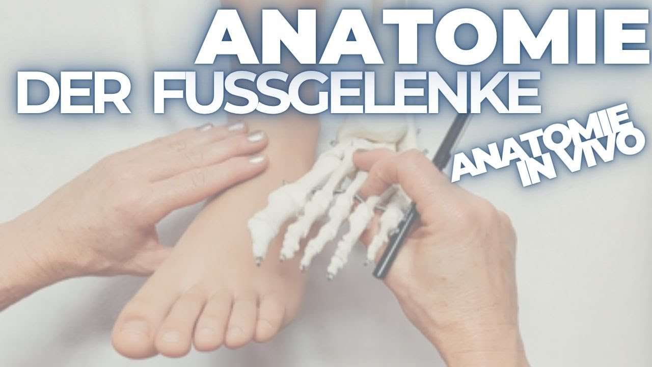 Fu&szlig;-Anatomie in vivo: Sprunggelenke & Knochen tasten lernen &ndash; f&uuml;r Therapie & Fu&szlig;reflexzonenmassage