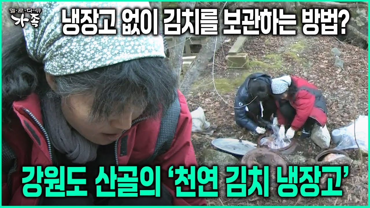 [다큐 ‘가족’ 48회-4] 냉장고 없이 김치를 보관하는 방법? 강원도 산골의 ‘천연 김치 냉장고’