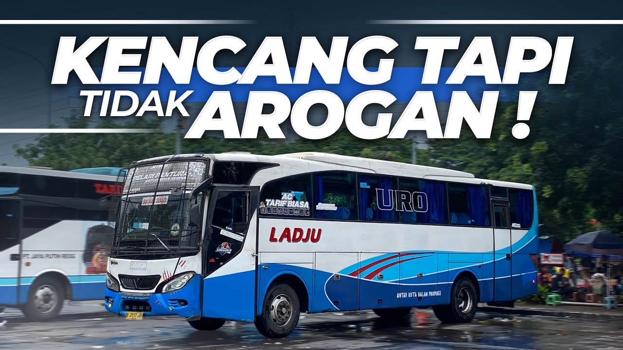 COCOK BANGET BUAT YANG LAGI KEJAR WAKTU‼️Trip Naik Bus Ladju 