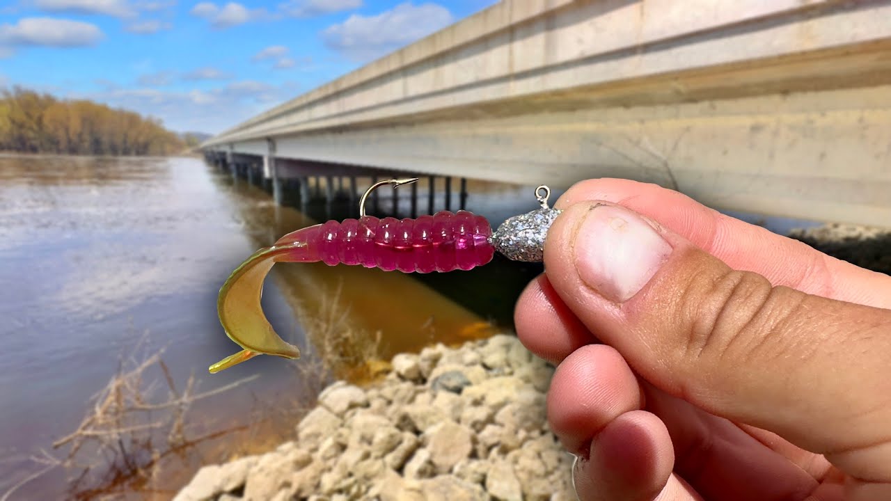 This Bait Will Catch You EVERYTHING!!!