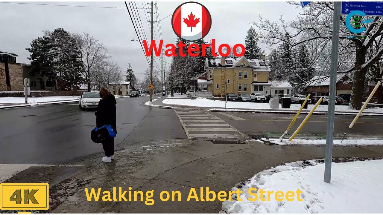 Walking Tour Albert Street Waterloo Canada 4K || Virtual Tour Waterloo Albert Street Canada