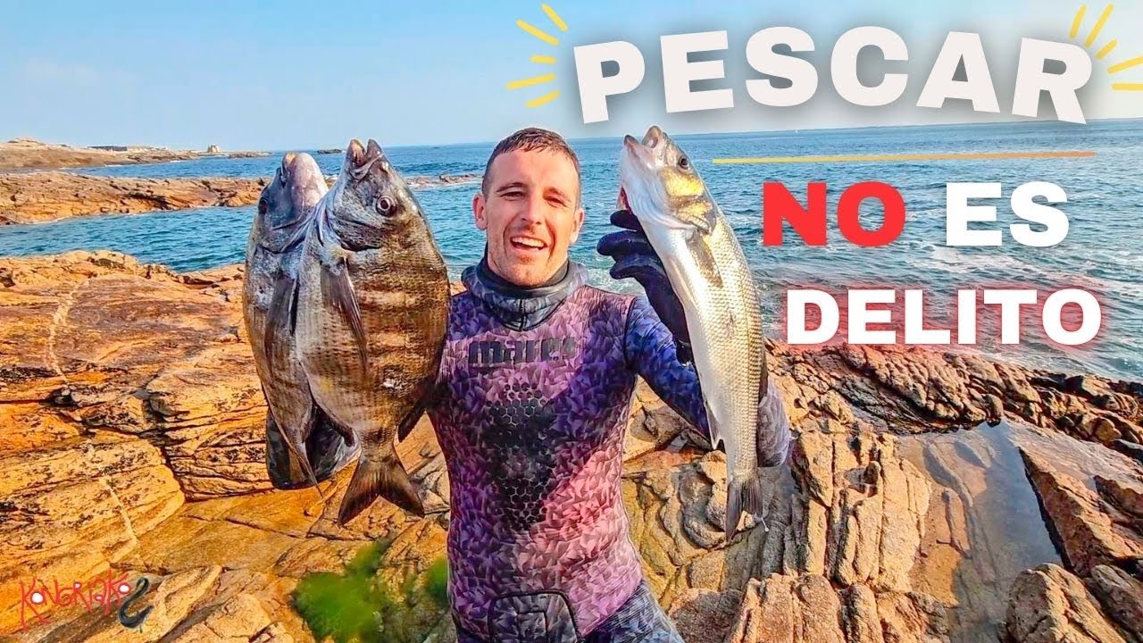 ⚠️ ESTO es lo que SE CARGARÁN si PROHIBEN la Pesca de Lubina 🐟 SARGOS XL + LUBINAS  a muy Poca AGUA