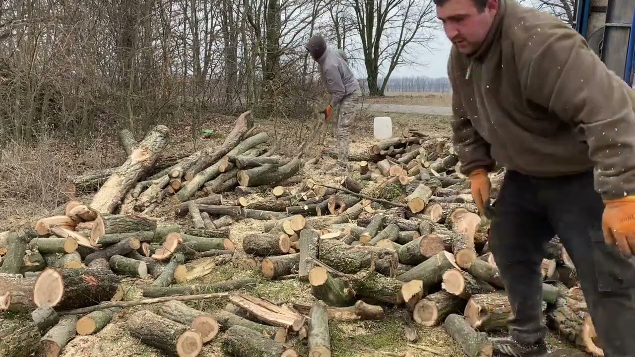 🌳🌳🌳🌳🔥🔥