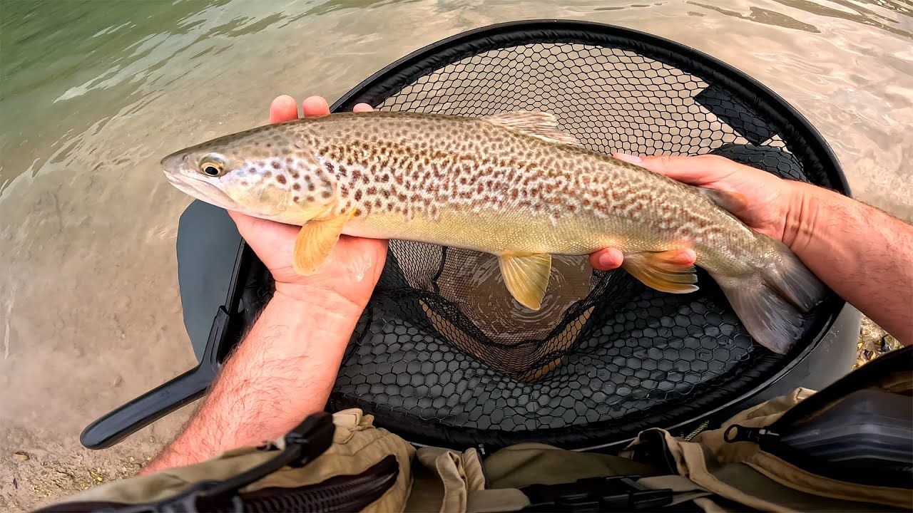 Italy Marble Trout, Pike, Barbel Fishing season 2025 Best Moments