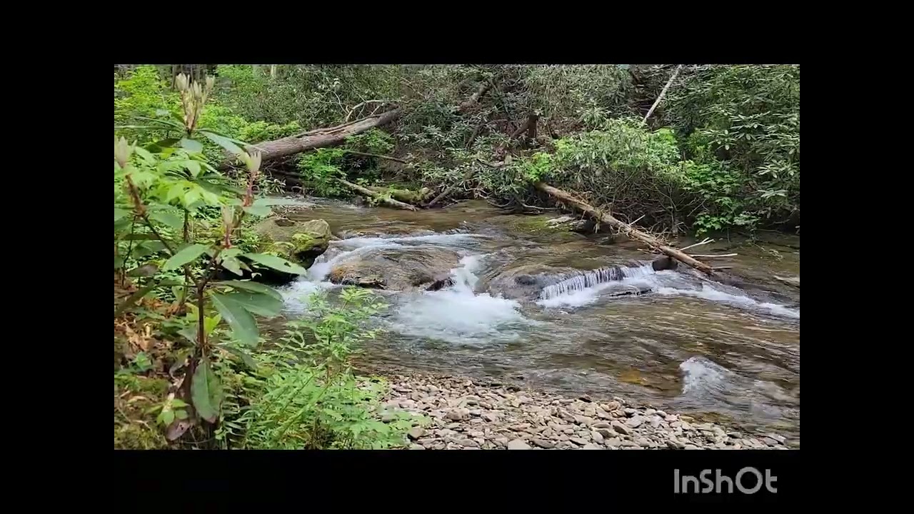 ДУШАТА НА ГОРАТА - откъс от 