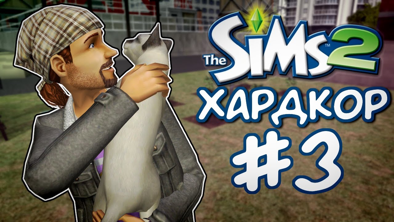 Первый фундамент и кошь // Хардкор-челлендж The Sims 2 (3 часть)