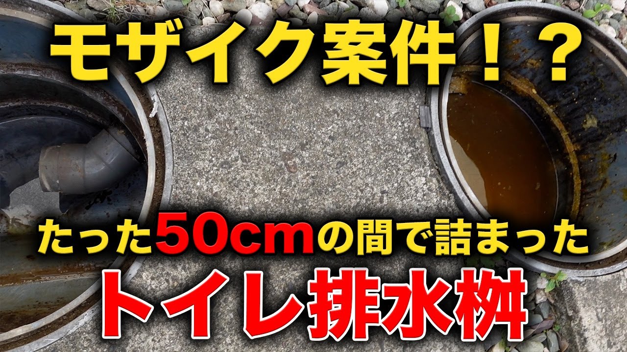 【必見？】トイレ詰まり発生！！もしかしたら非公開になるかも・・・【花のお掃除 #192】